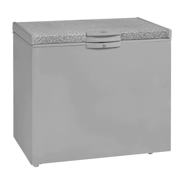 Defy CF300 254L Freezer